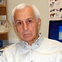 Кулик Анатолий Никифорович*