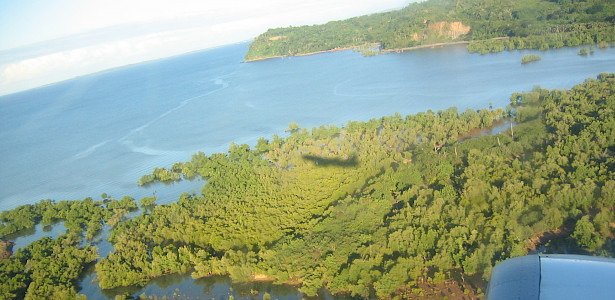 Вид с самолёта на мангровые леса северо-западного Мадагаскара. Из архива Игоря Сида.